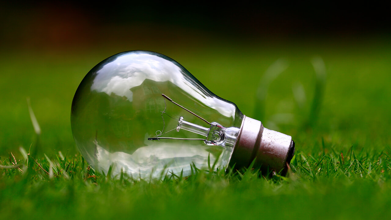 A clear incandescent light bulb lying in the grass