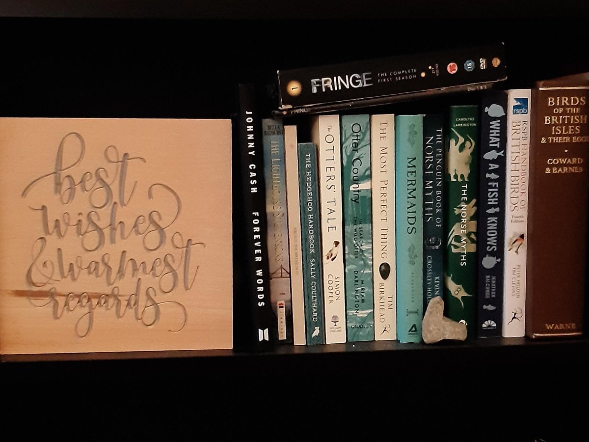 The finished Best Wishes and Warmest Regards board, silver script on beech, standing on a bookshelf beside a row of nature books and a Fringe DVD