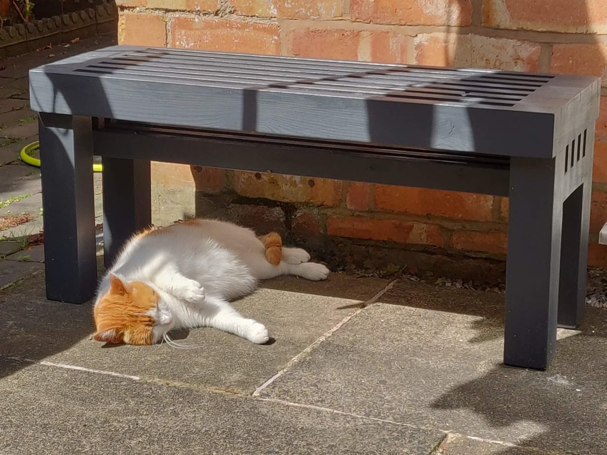 The grey bench against a brick wall in the sun, with a ginger and white cat sprawled asleep underneath it