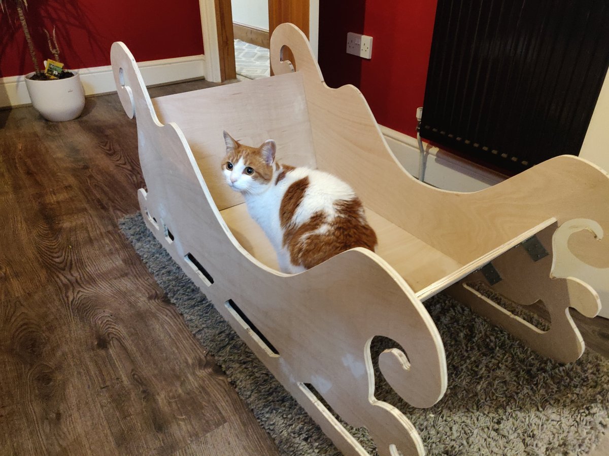 A ginger and white cat sitting inside the unpainted plywood sleigh on a living room floor